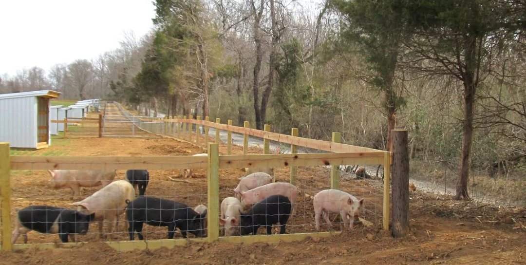 Картинка из интернета 