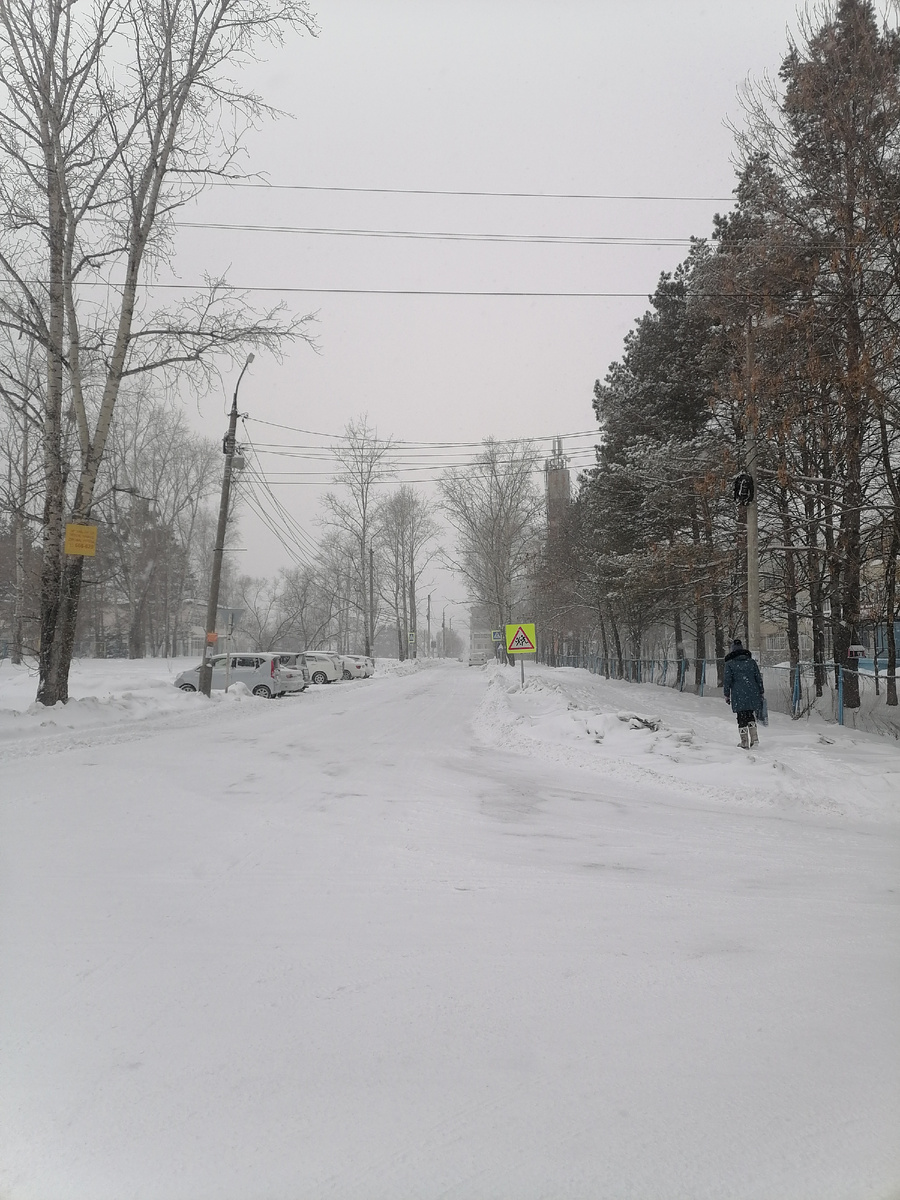 Спешу на остановку. автор фото канала - В гостях уМАРИИ