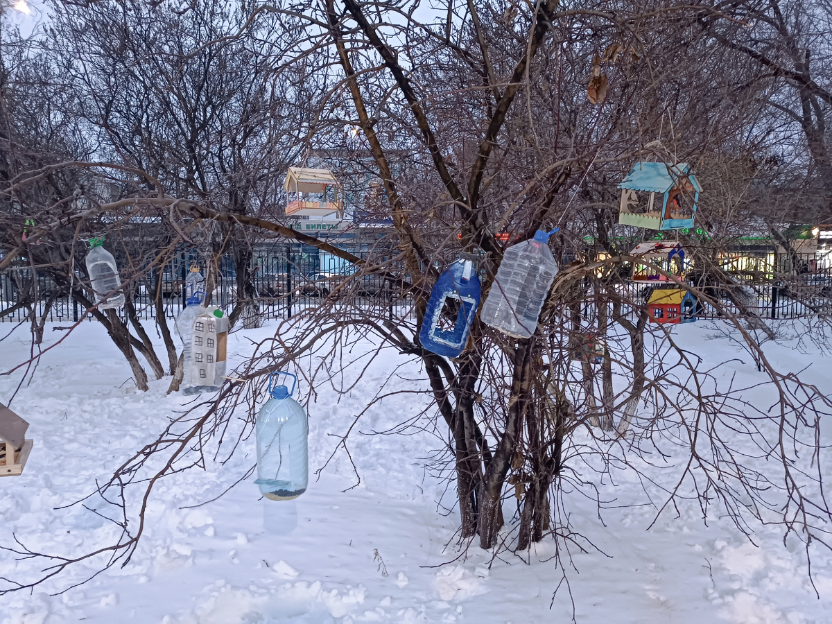 Фото автора