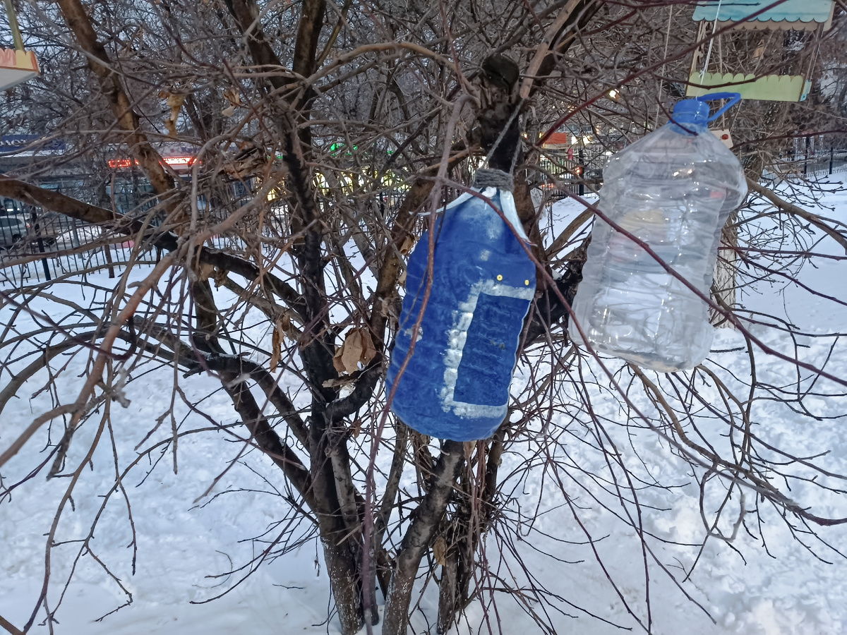 Фото автора. Наша синяя