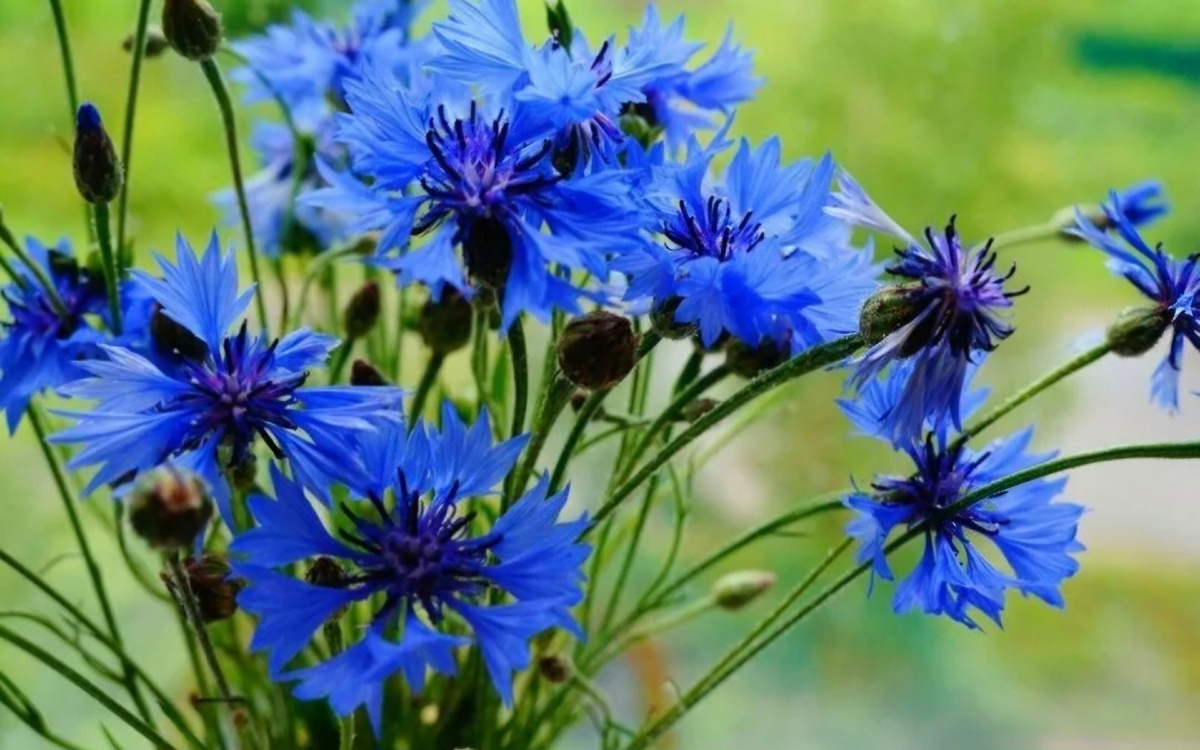 Начал заниматься с кем-то - оговорили цену и сколько времени она не будет меняться. А то выходит, за время пути собачка могла подрасти. Как мой адвокат  в процессе такая: "Ой, у вас сложный случай, пожалуй, беру на 30 % больше оговоренного. Иначе дальше не работаю". Если говоришь цену, изначально подумай, чтобы не менять коней на переправе. Я понимаю плавные повышения, но только если  была предварительная договоренность. А то - знаете, "Я вчера закончила курсы, с Вас не 7 000, а 10 000. Айм сор, что раньше не сказала". И пока будут те, кто считает, что это нормально, до тех пор так и будет продолжаться. А, может быть, я просто в жизни чего-то не понимаю. Например, только когда появился напиток добрый кола, я узнала, что кола - это, оказывается, он.