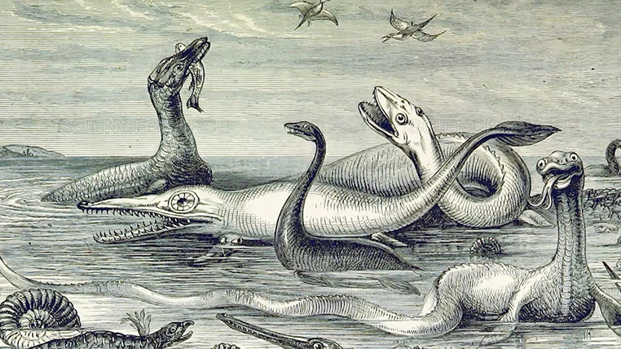    © АО "ТВ Центр"