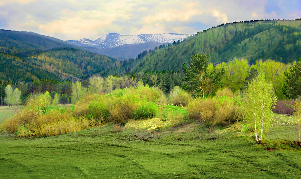 Фотография, стихотворение Василия Глуцкого
