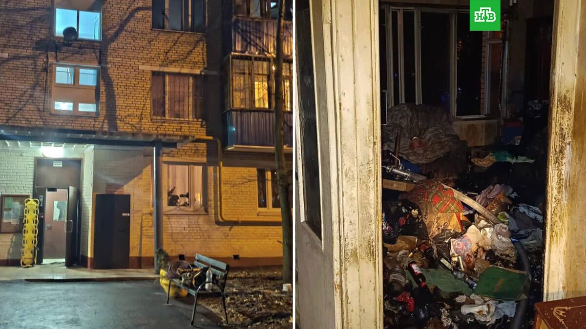    Фото: moscowproc / t.me