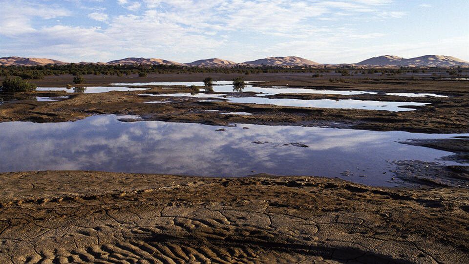 Фото: © Global Look Press