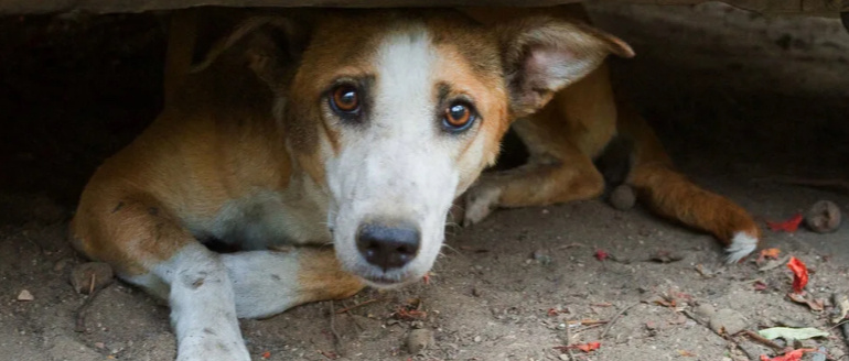 Яндекс.картинки для обложки 