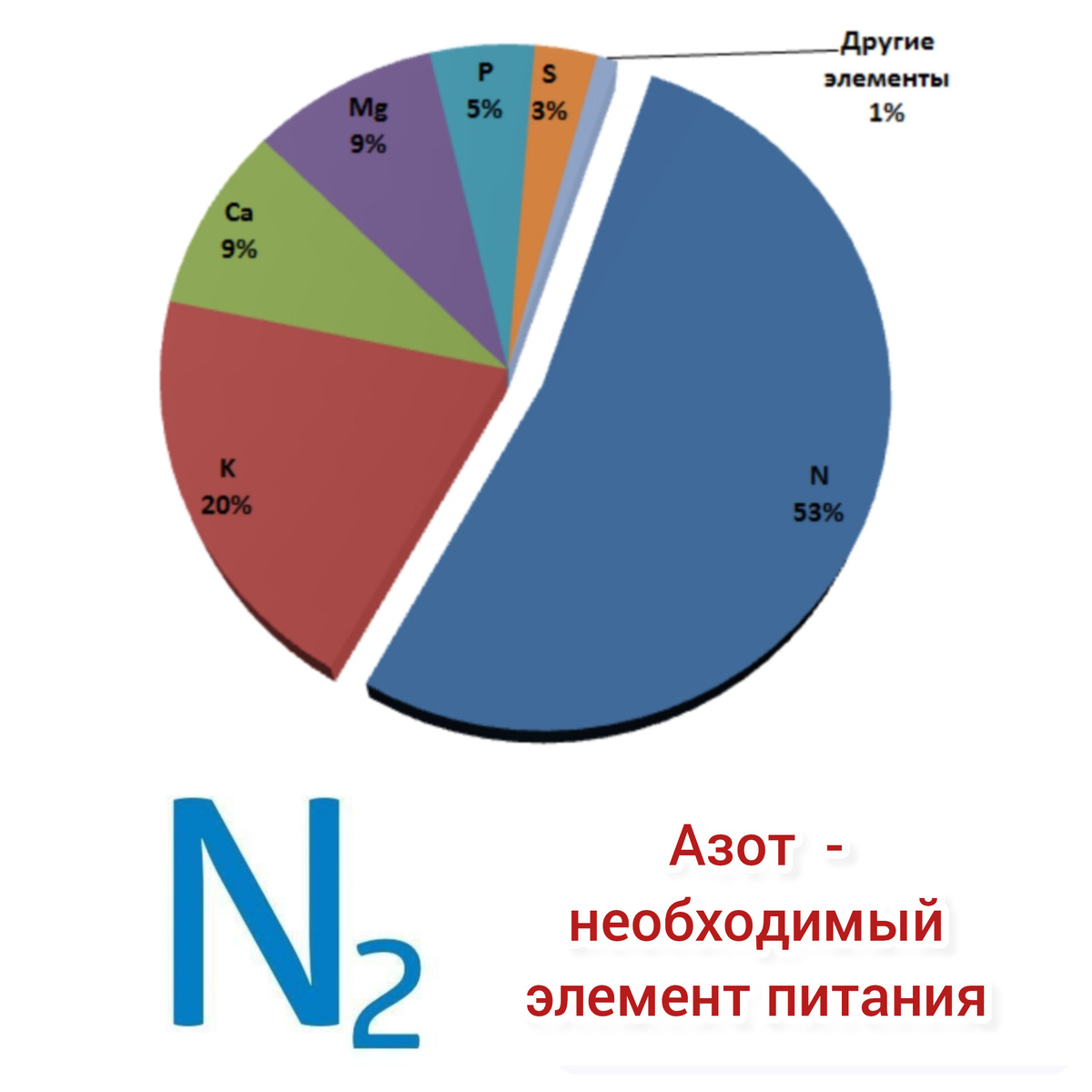 Доля азота в питании растений. 