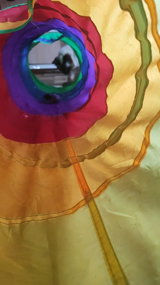 Гоша не прочь поиграть