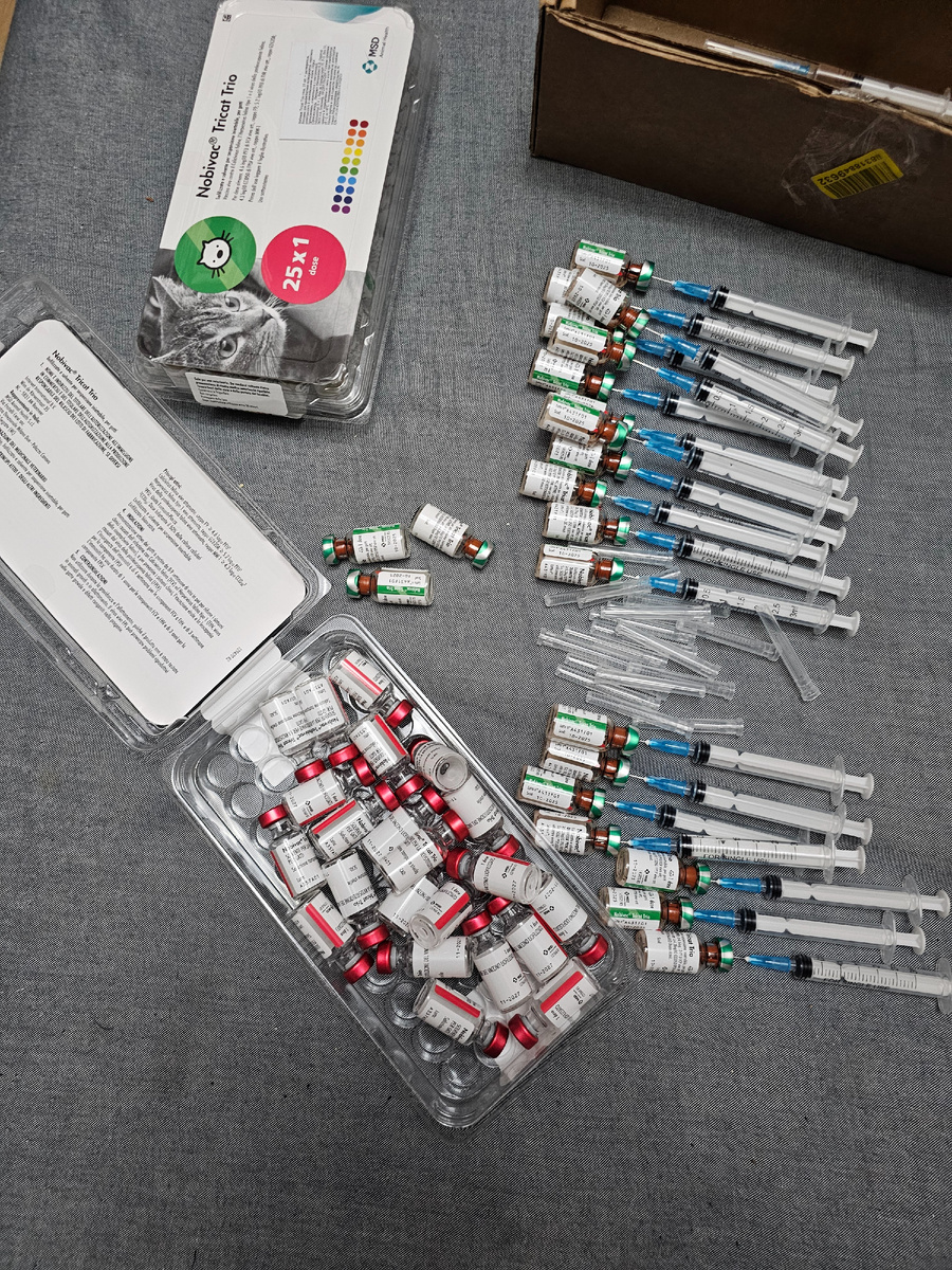 Вакцинация