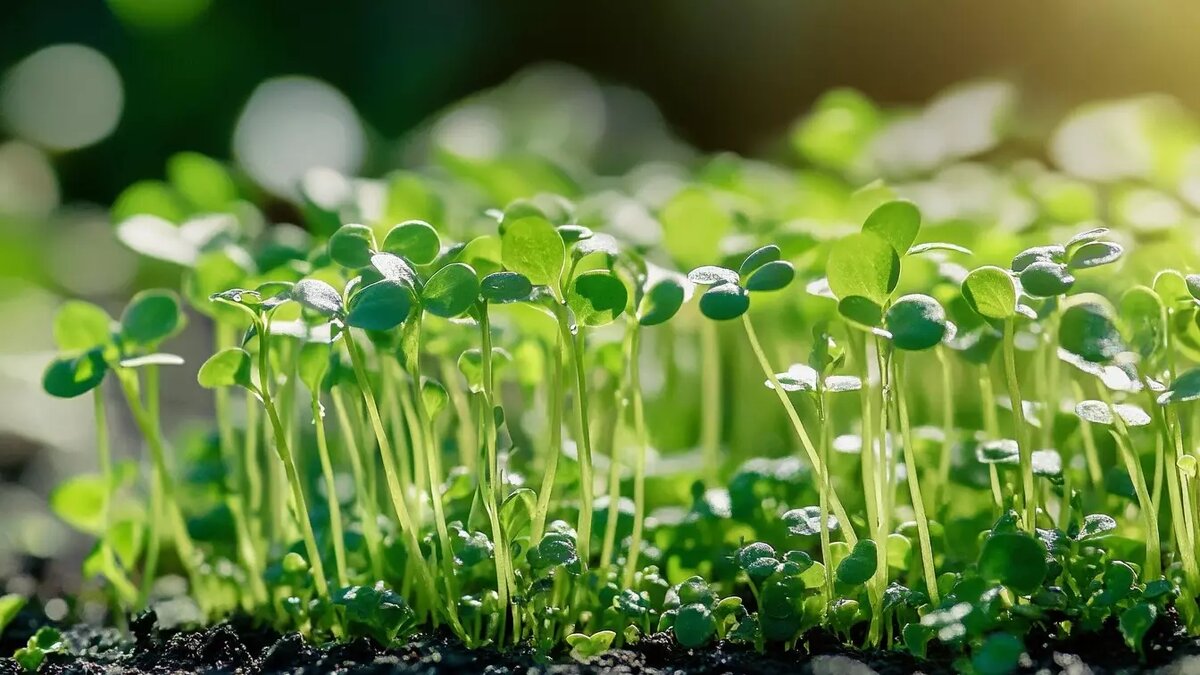     Источник: Изображение Midjourney