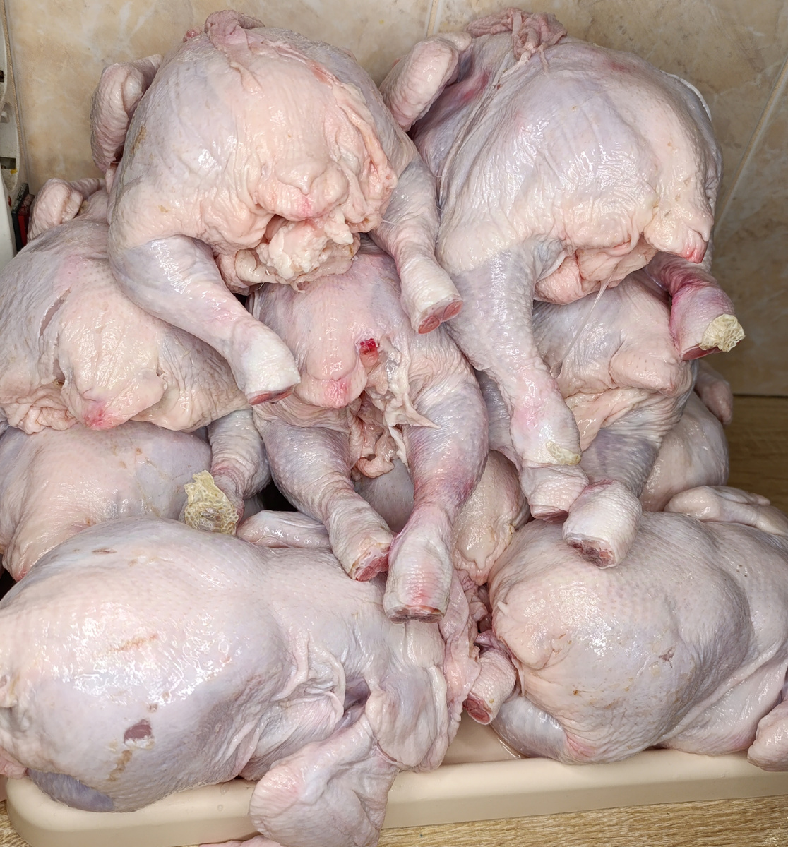 Фото Уралочка 