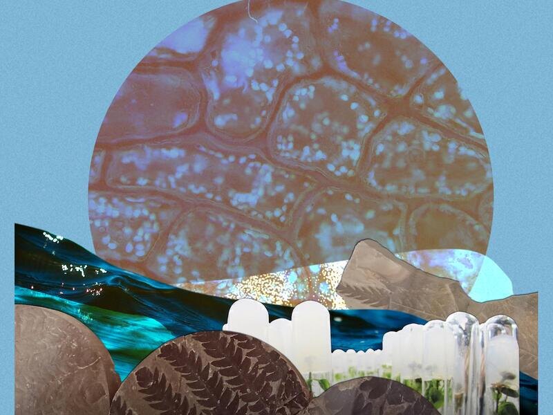 © Фото: Первый Байкальский