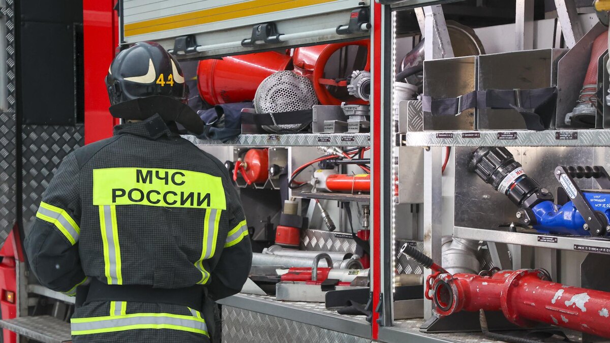    Фото: Belkin Alexey/news.ru/globallookpress.com