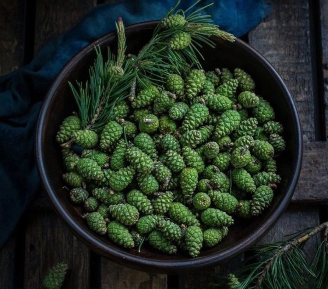 Фото из интернета 