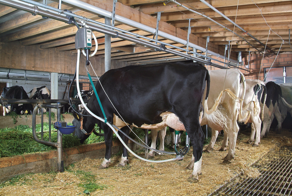 сайт www.lengidroprom.ru , также можно написать на почту lengidroprom@mail.ru или @lengidroprom в Telegram