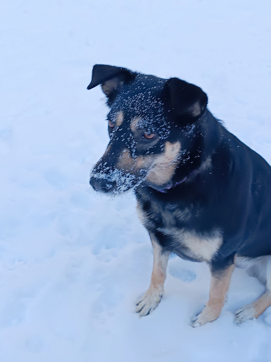 Серьёзная Лялька. Личное фото автора
