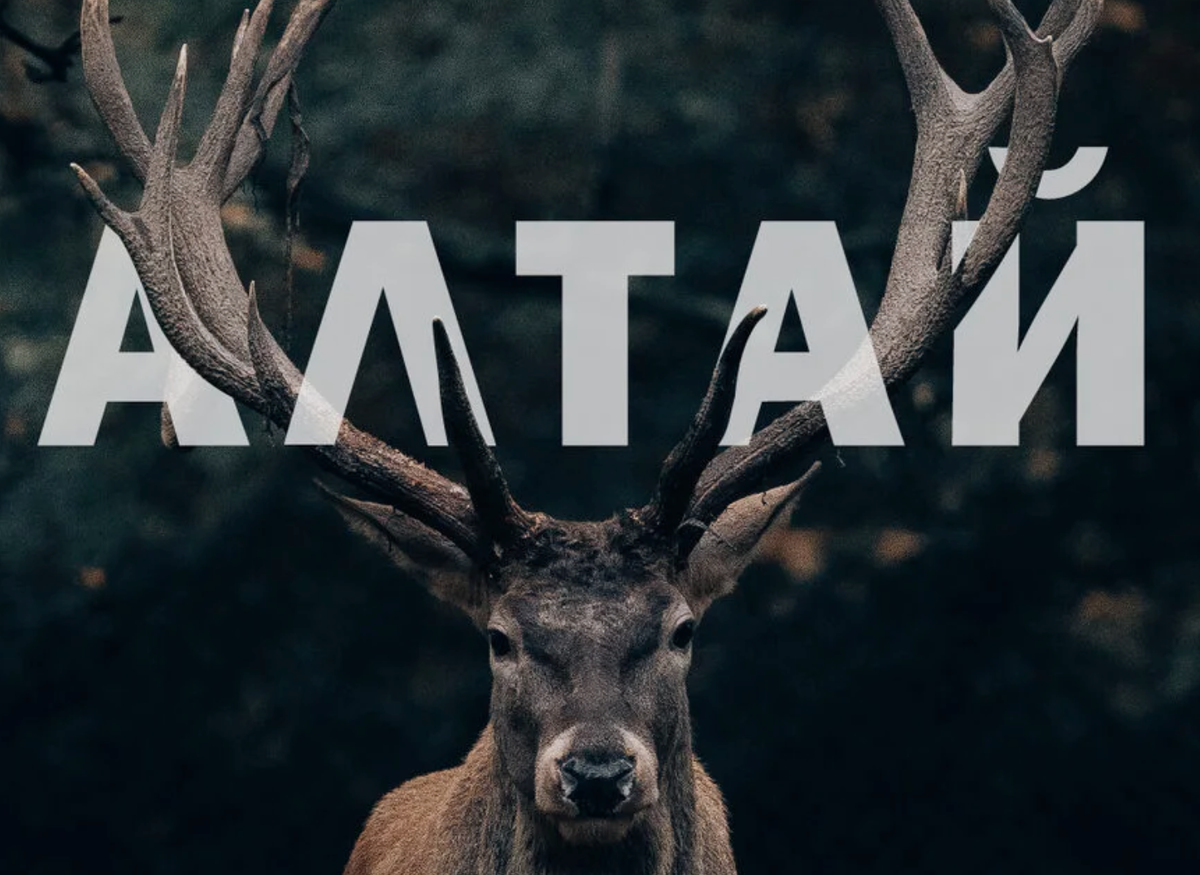 Источник фото: https://etnicahotel.ru/