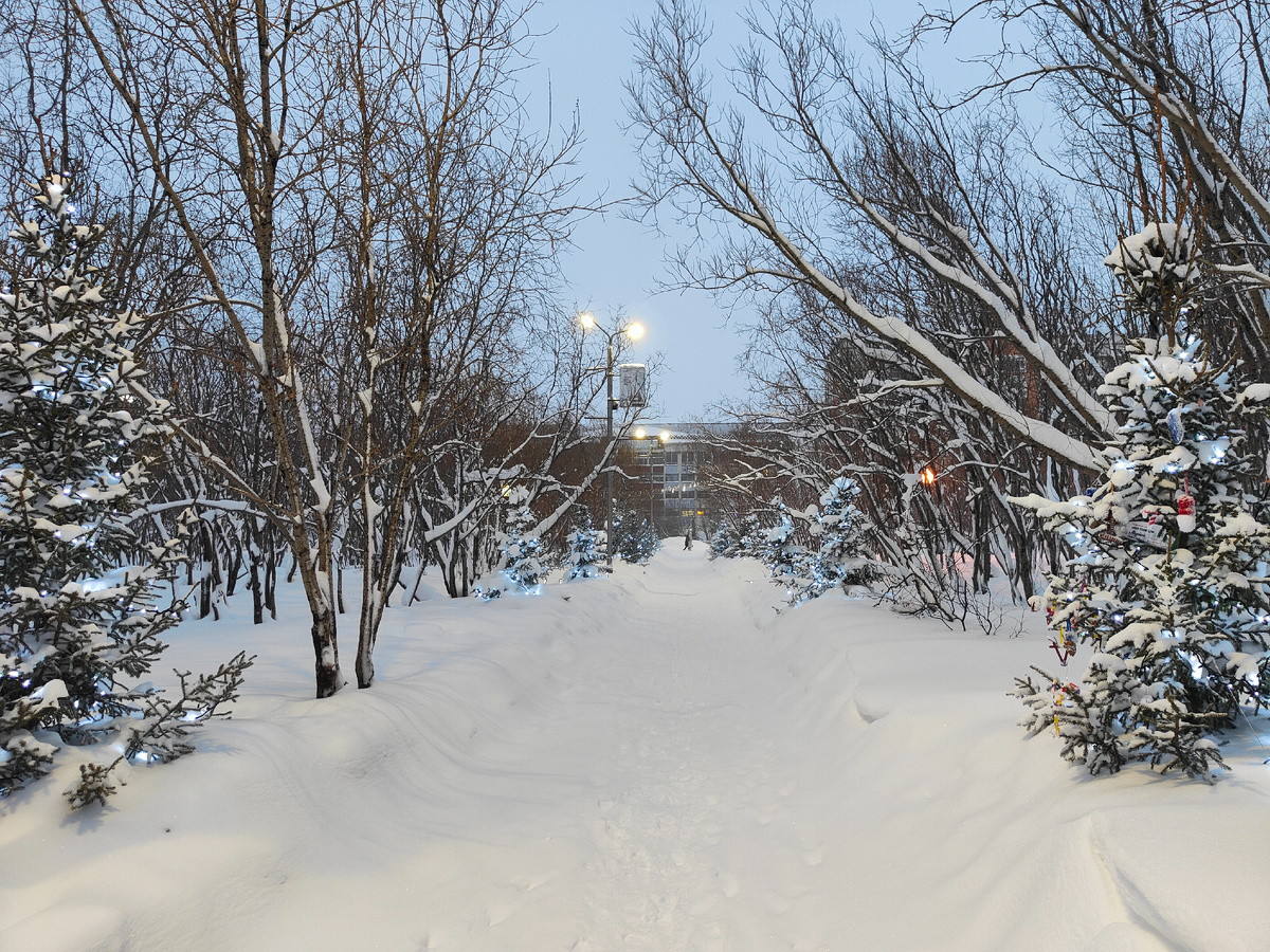 фото автора Елены М.