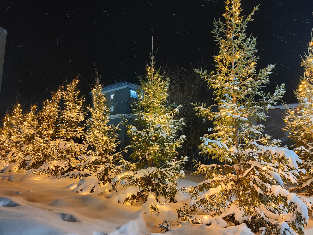 фото автора Елены М.