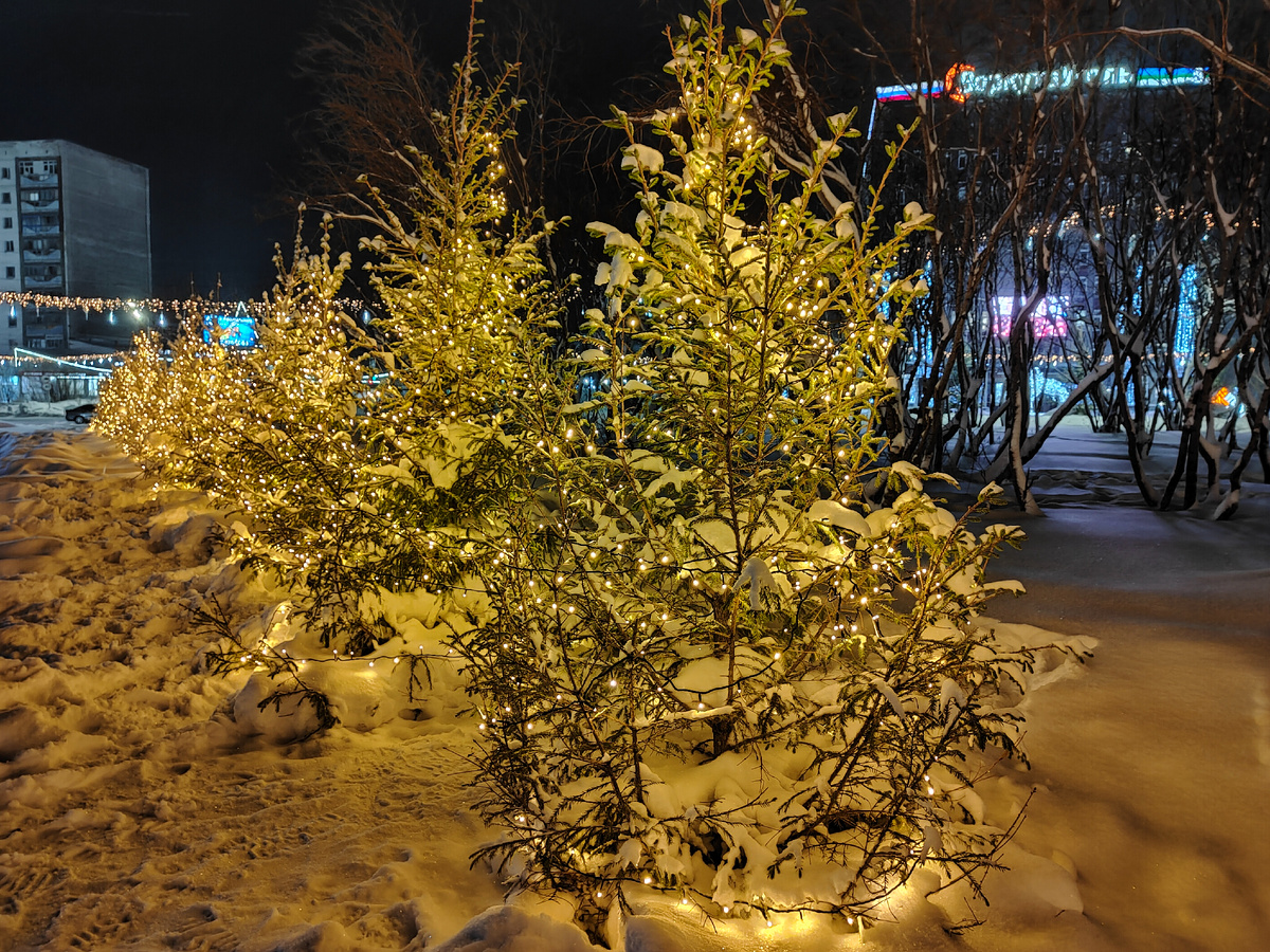 фото автора Елены М.