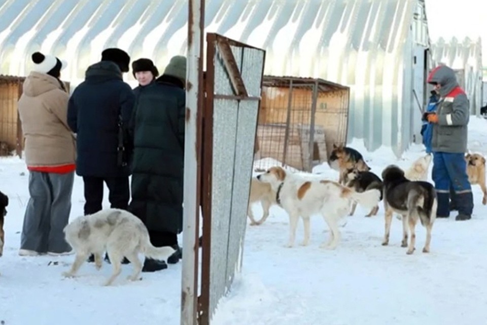 Открытый источник