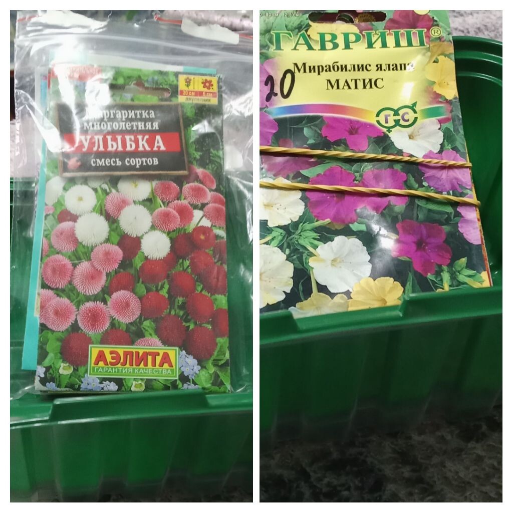 В пакетике с Вайлдберриз, с резиночкой с магазина.