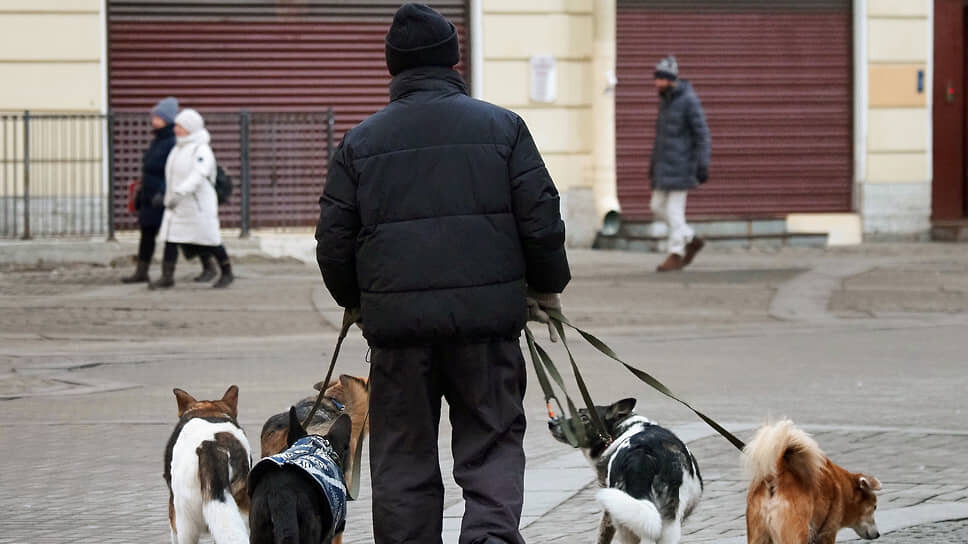 Фото: Майя Жинкина / Коммерсантъ