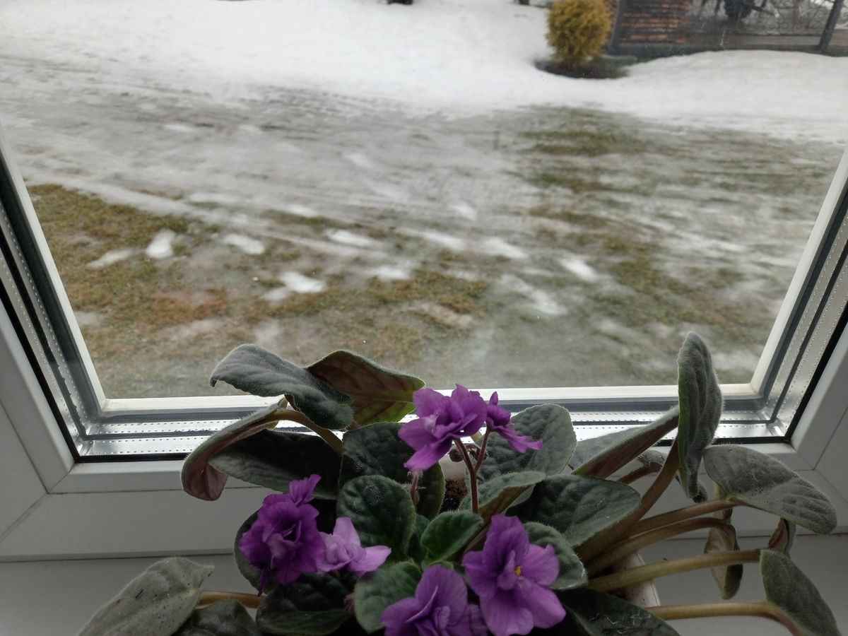 Остатки снега дотаивают, за окном плюс 3, зима сломалась