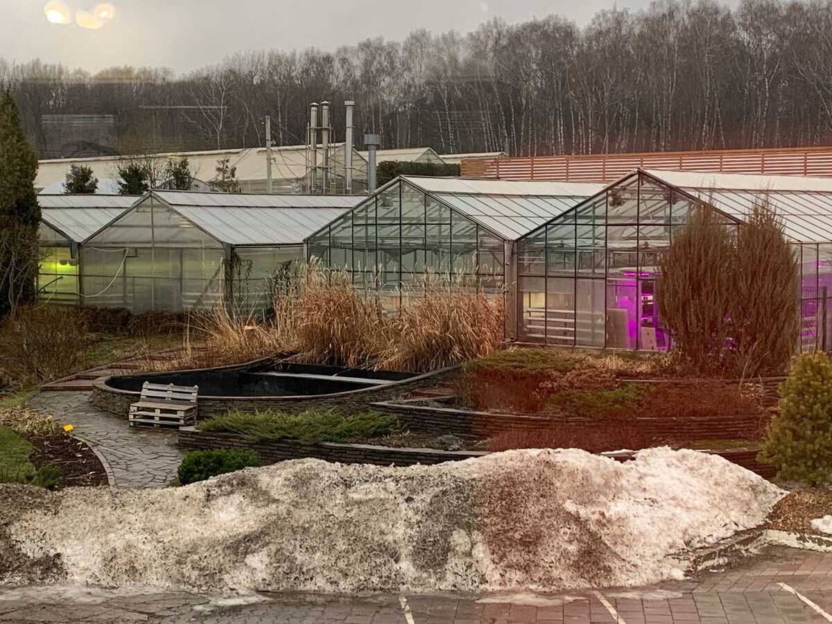 29 января 2025 года. Питомник Вашутино, подразделение Химки.