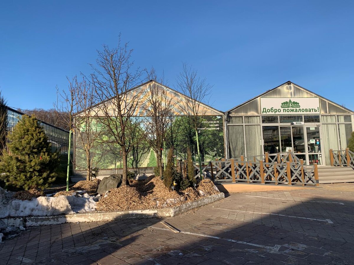 Питомник Вашутино, подразделение Химки. Январь 2025.