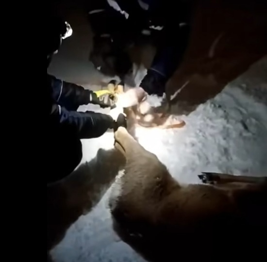 Фото: скриншот видео / администрация Салавата