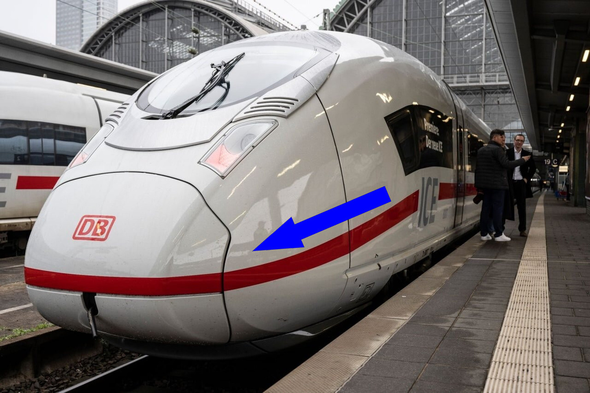    Лос-Анджелес в огне: что стоит за крупнейшим пожаром в истории города?