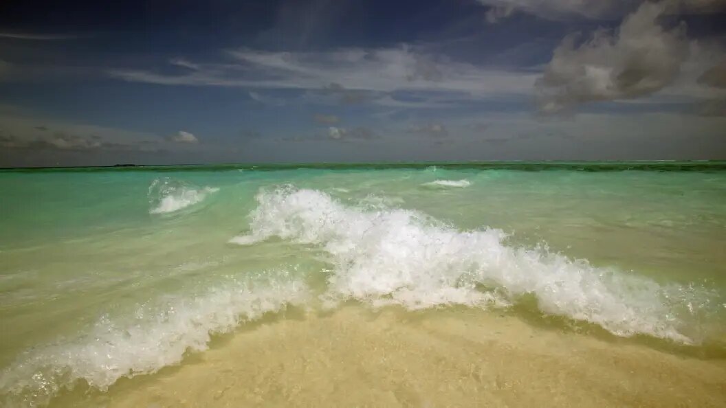    ФОТО: ANDREI KAMENEV/RUSSIAN LOOK/GLOBALLOOKPRESS