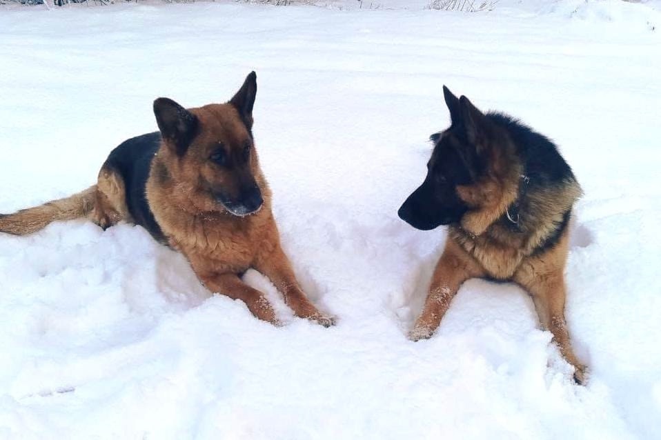 Фото: vk.com/ufsin_smolensk