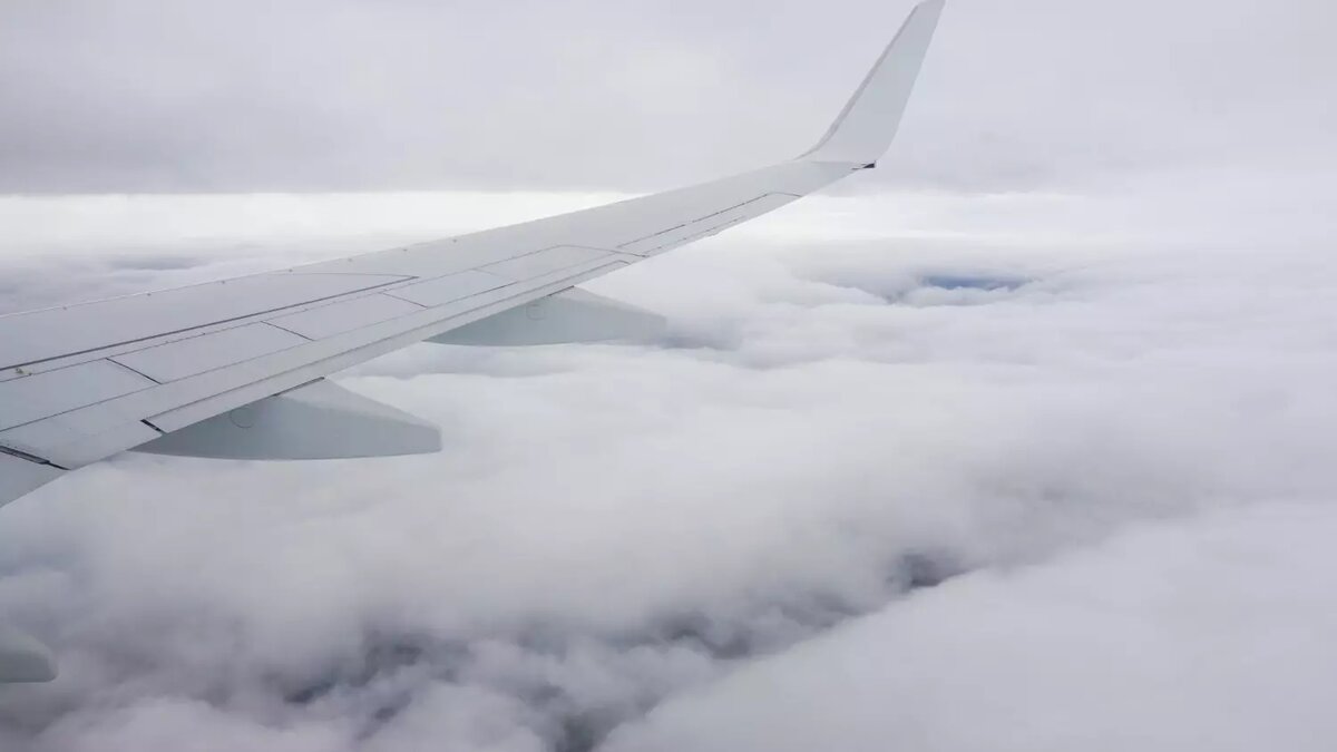     Автор: wirestock/freepik