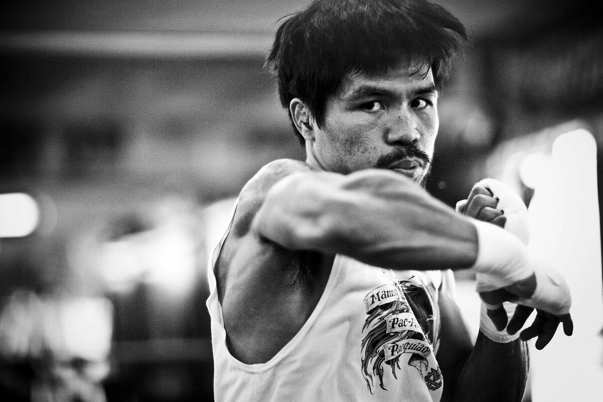 фото: открытый источник