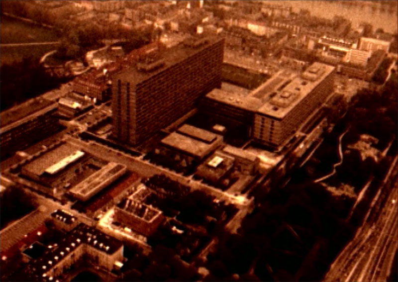 "Королевство" а ля натюрель