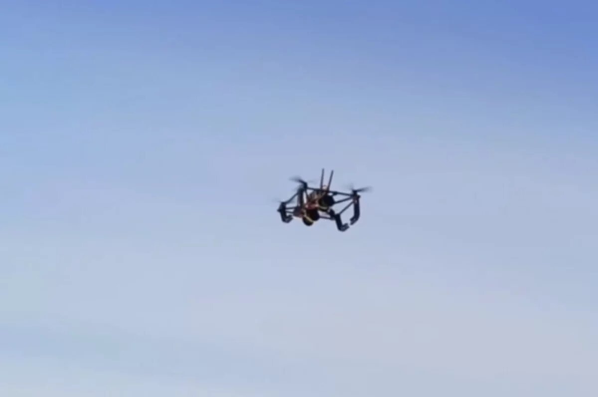    Беспилотник «Медоед» создали в Нижнем Новгороде