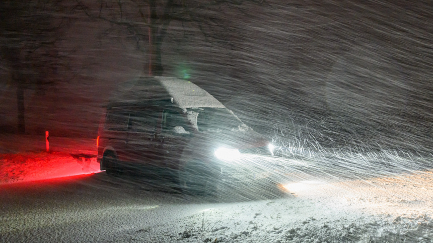    Фото: www.globallookpress.com/© Patrick Pleul; 5-tv.ru