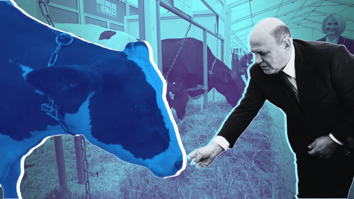 Мишустин и агропромышленный комплекс