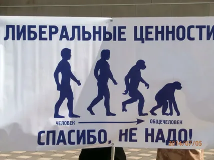 Из картинок Яндекса