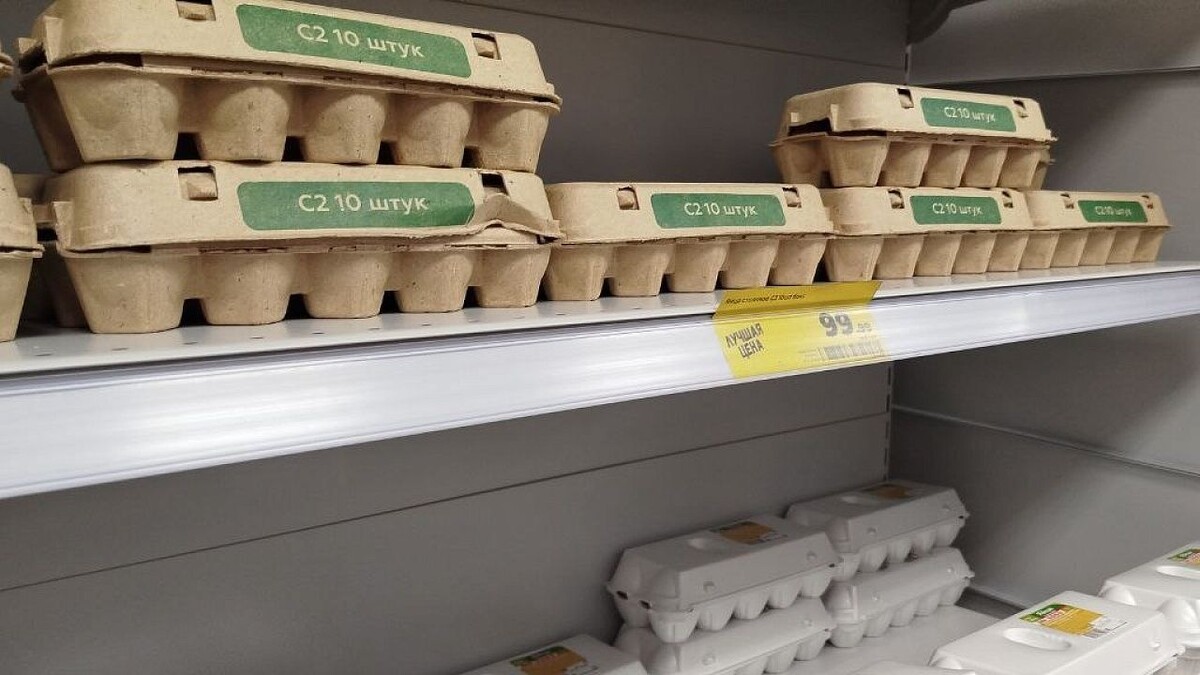    Фото: телеканал «Краснодар»