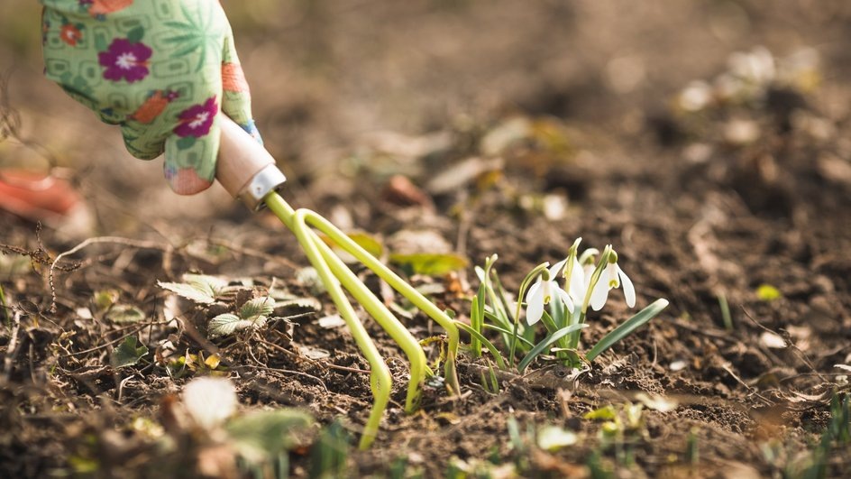 Источник: Freepik