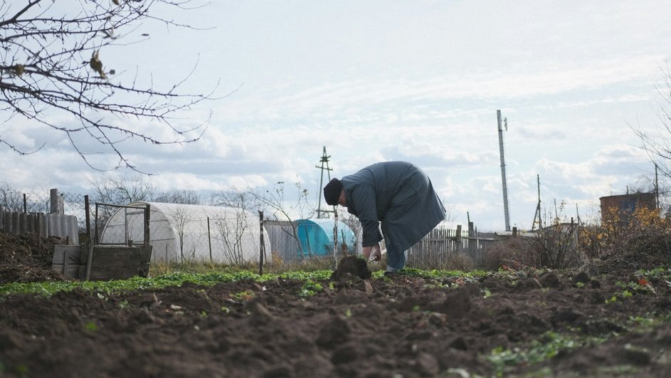 Источник: Unsplash / CC0