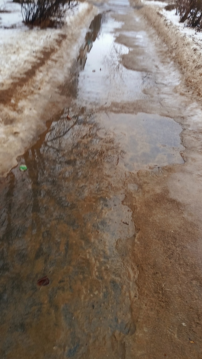 Январь кончается и загрустилось что то. Подумалось: Как быстро жизнь идёт...