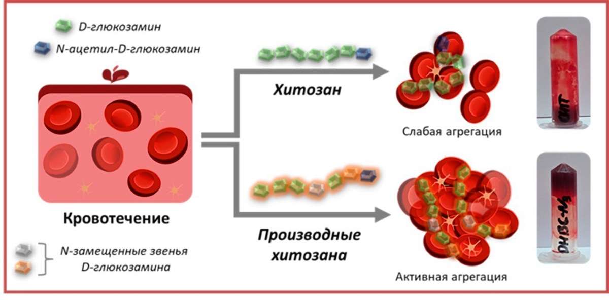    Фото: indicator.ru Георгий