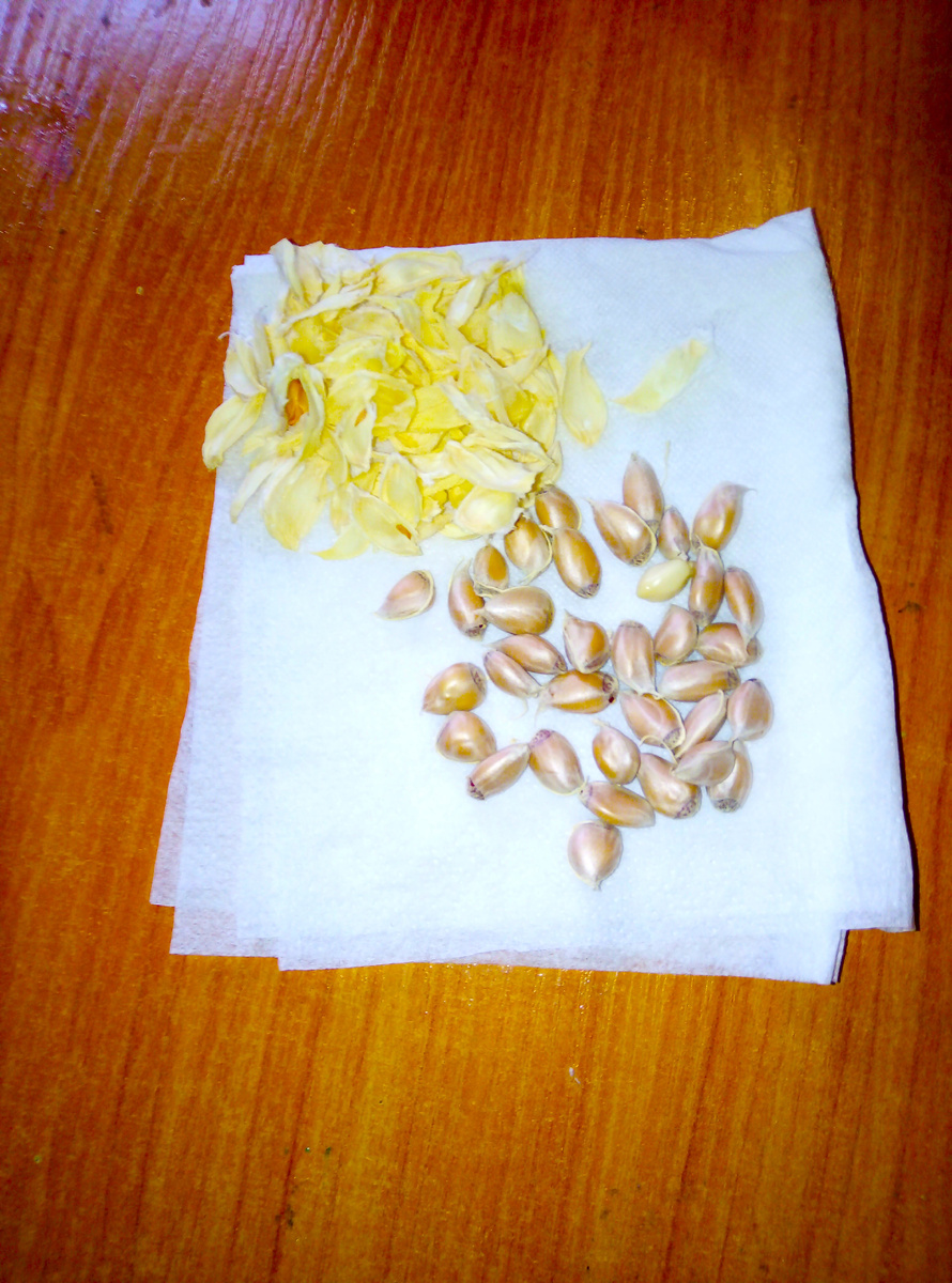 Фото автора.