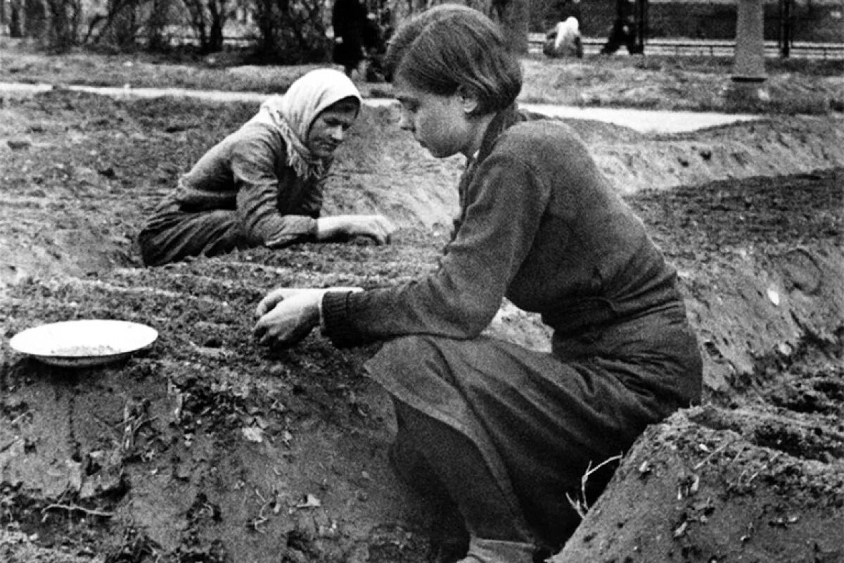 Открытый источник