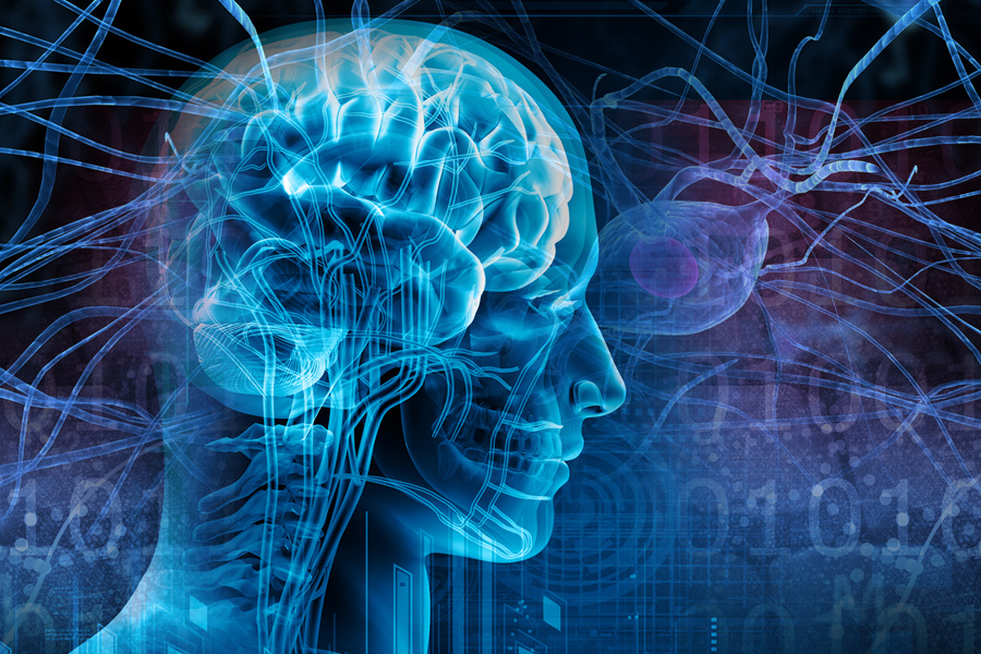 картинка из интернета