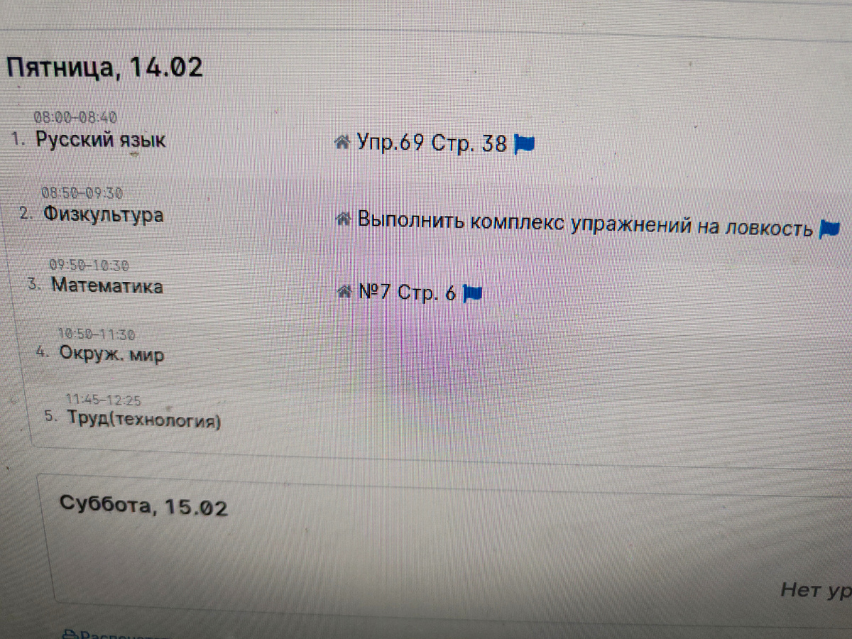 Пример расписания домашних заданий на день из электронного дневника. Фото моё